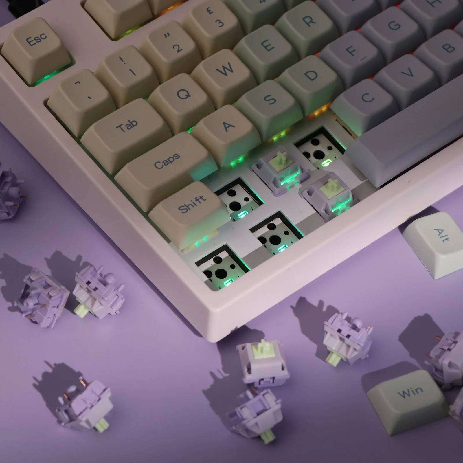 EPOMAKER Wisteria Switches Set - Image 6
